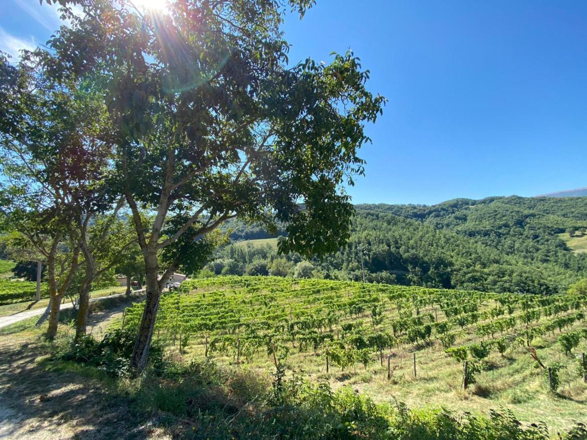 Farm stay Le Assisi