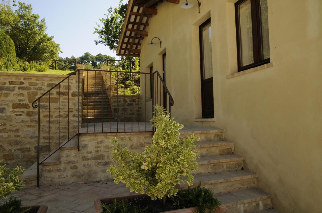 Farm stay Le Assisi