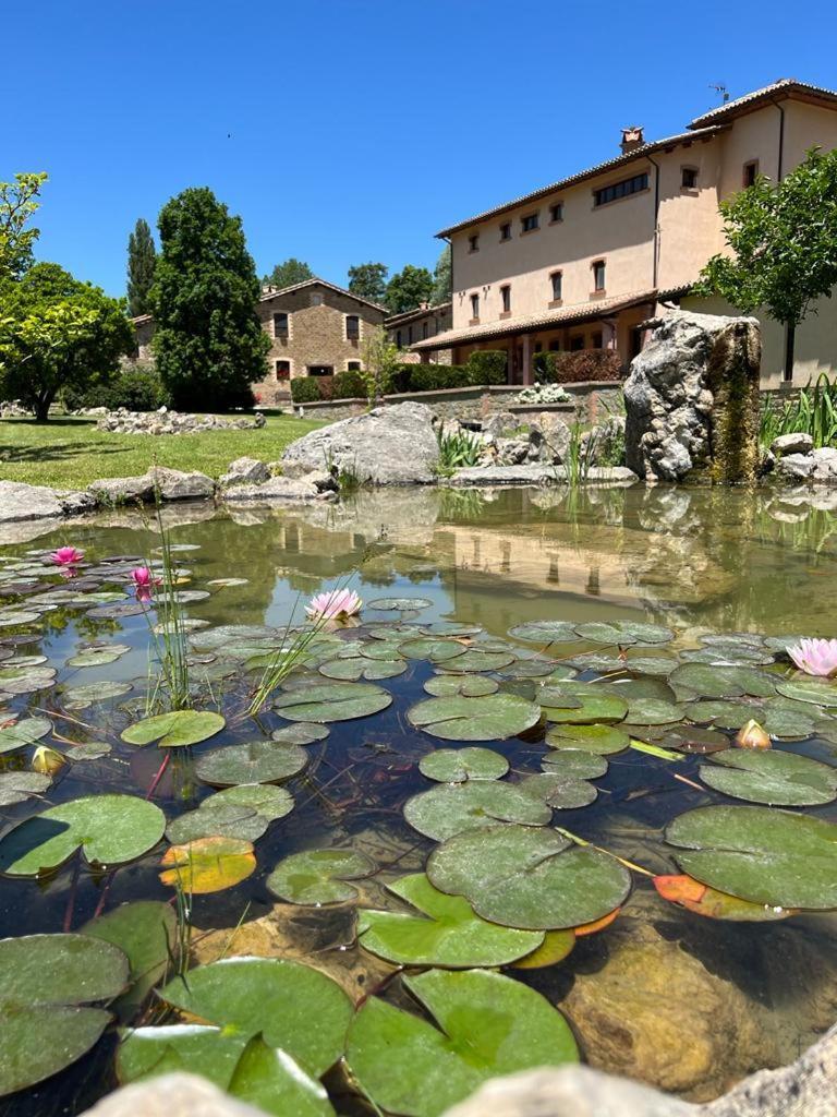 Le Assisi