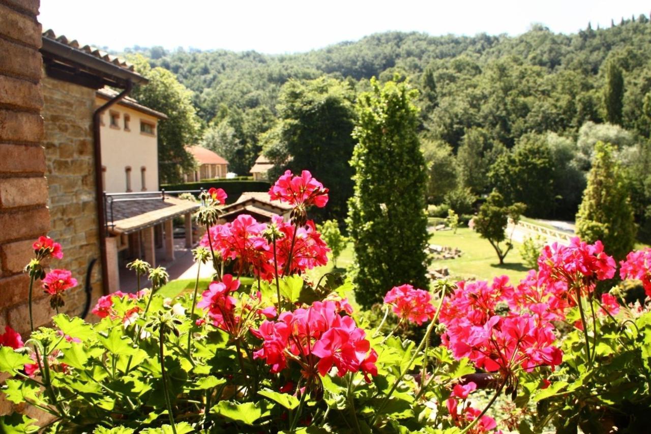 Farm stay Le Assisi
