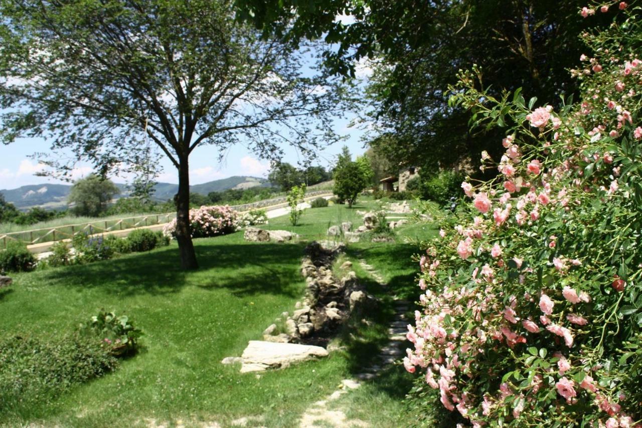 Le Assisi