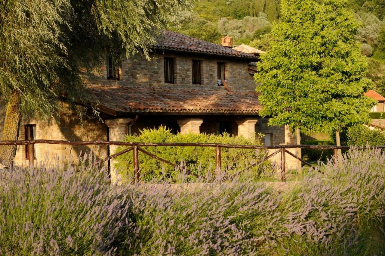 Farm stay Le